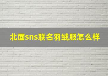 北面sns联名羽绒服怎么样