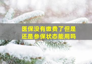 医保没有缴费了但是还是参保状态能用吗