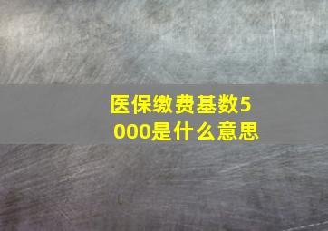 医保缴费基数5000是什么意思