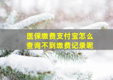 医保缴费支付宝怎么查询不到缴费记录呢