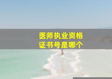 医师执业资格证书号是哪个