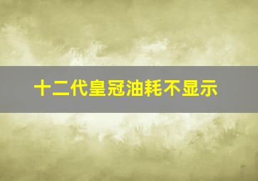 十二代皇冠油耗不显示