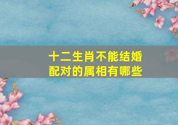 十二生肖不能结婚配对的属相有哪些