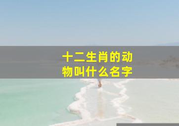 十二生肖的动物叫什么名字