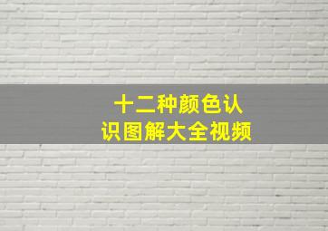 十二种颜色认识图解大全视频