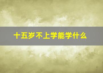 十五岁不上学能学什么