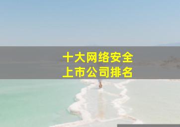 十大网络安全上市公司排名