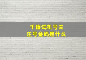 千禧试机号关注号金码是什么