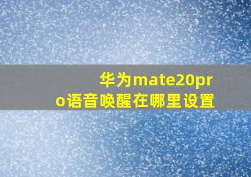 华为mate20pro语音唤醒在哪里设置