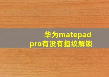 华为matepadpro有没有指纹解锁