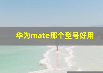 华为mate那个型号好用