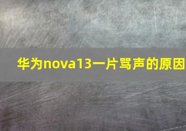 华为nova13一片骂声的原因