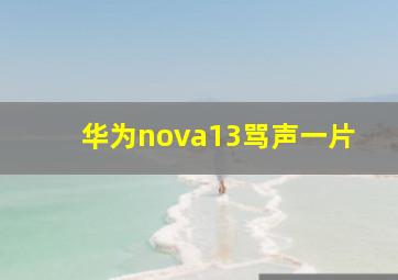 华为nova13骂声一片