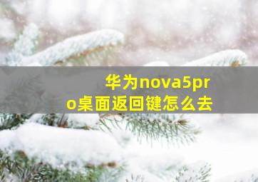 华为nova5pro桌面返回键怎么去