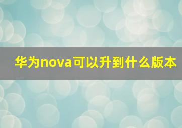 华为nova可以升到什么版本