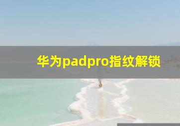 华为padpro指纹解锁