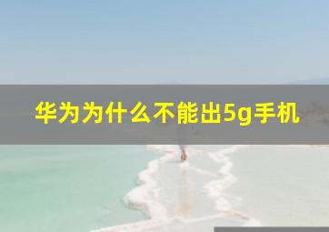 华为为什么不能出5g手机