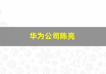 华为公司陈亮