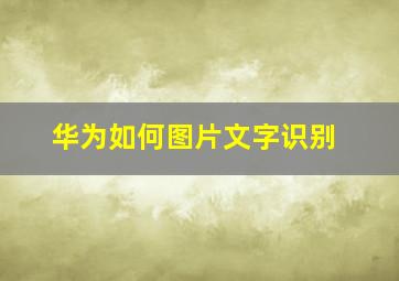 华为如何图片文字识别