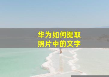 华为如何提取照片中的文字