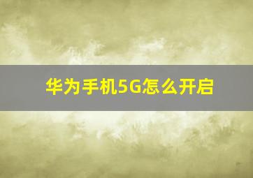 华为手机5G怎么开启