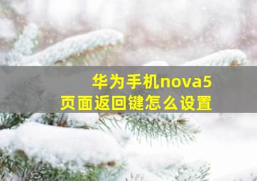 华为手机nova5页面返回键怎么设置