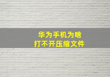 华为手机为啥打不开压缩文件