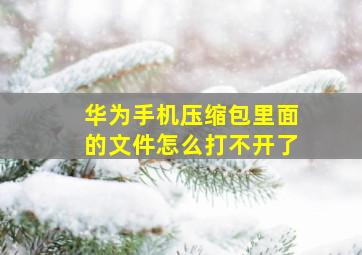 华为手机压缩包里面的文件怎么打不开了