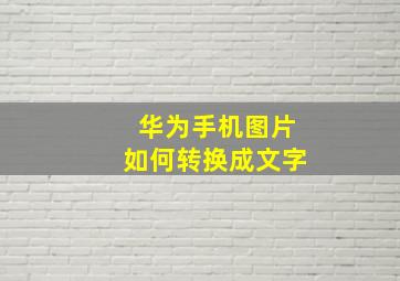 华为手机图片如何转换成文字