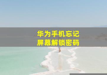 华为手机忘记屏幕解锁密码