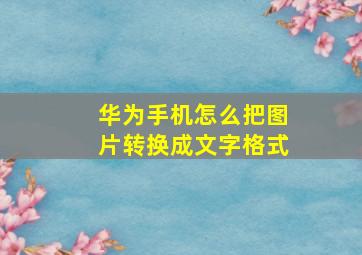 华为手机怎么把图片转换成文字格式