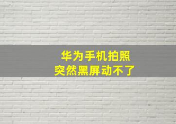 华为手机拍照突然黑屏动不了