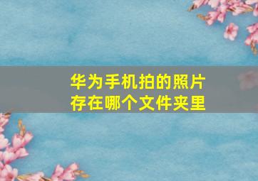 华为手机拍的照片存在哪个文件夹里