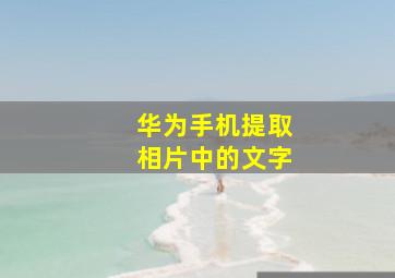 华为手机提取相片中的文字