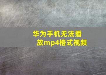 华为手机无法播放mp4格式视频