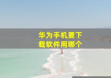 华为手机要下载软件用哪个