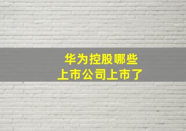 华为控股哪些上市公司上市了