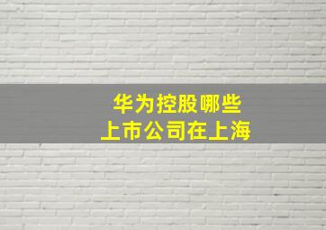 华为控股哪些上市公司在上海