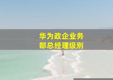 华为政企业务部总经理级别