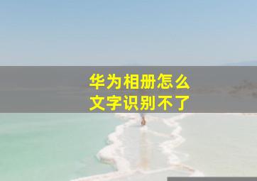 华为相册怎么文字识别不了