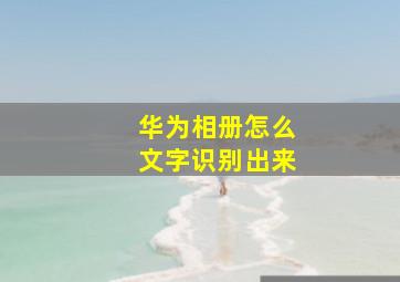 华为相册怎么文字识别出来