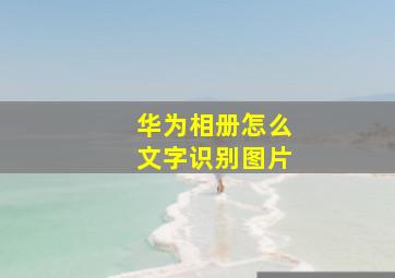 华为相册怎么文字识别图片