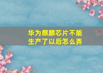 华为麒麟芯片不能生产了以后怎么弄