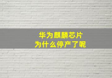 华为麒麟芯片为什么停产了呢