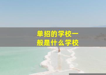 单招的学校一般是什么学校