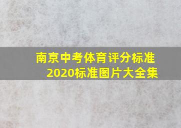 南京中考体育评分标准2020标准图片大全集