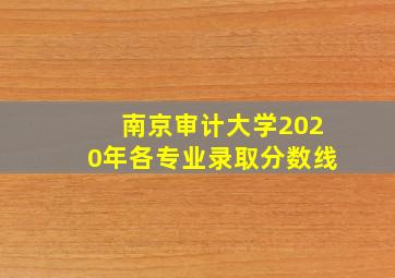 南京审计大学2020年各专业录取分数线