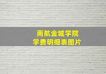 南航金城学院学费明细表图片