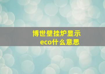 博世壁挂炉显示eco什么意思