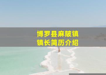 博罗县麻陂镇镇长简历介绍